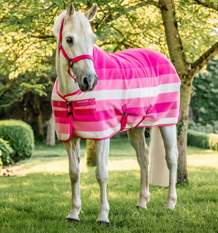 Pony Clothes