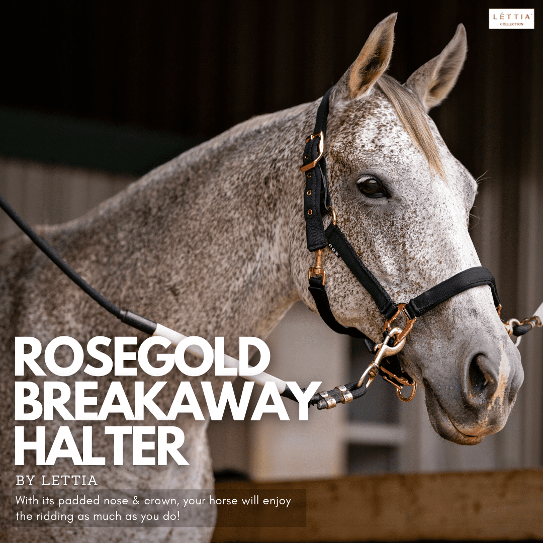 Lettia Rosegold Padded Leather Breakaway Halter
