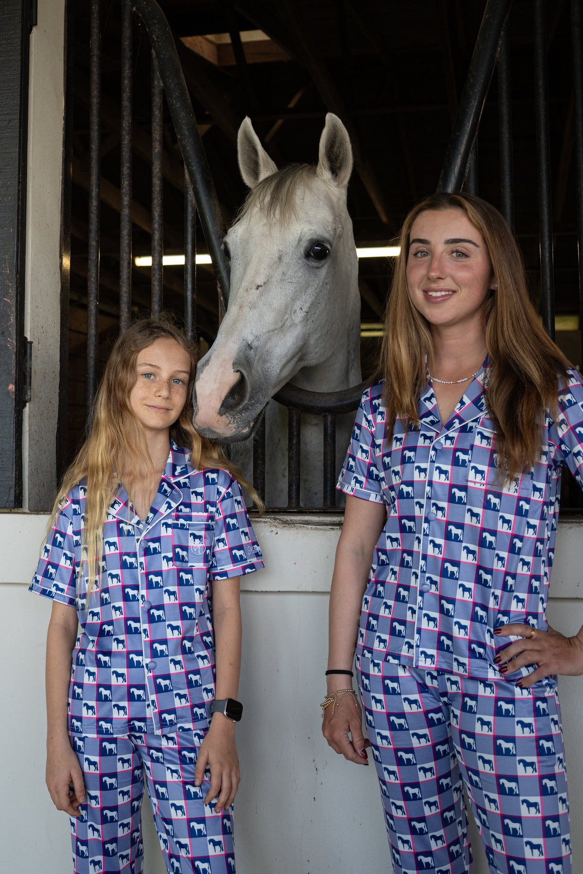 Plaid Horse