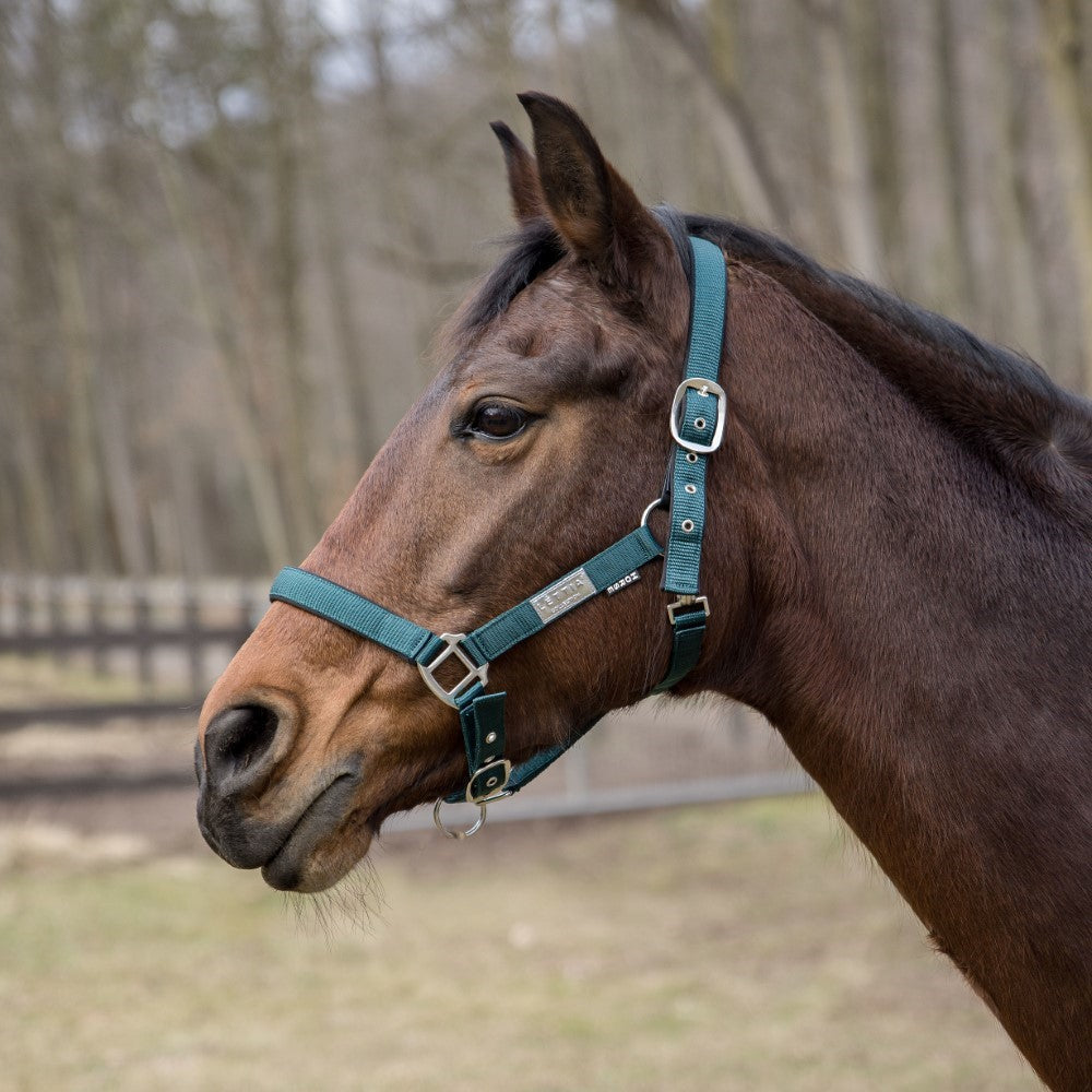 Lettia EquiFine Halter