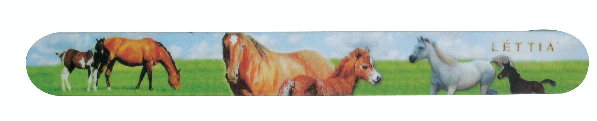 Lettia Nail File