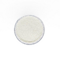 Dazzling White - Glitter