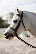 Farnley Bridle