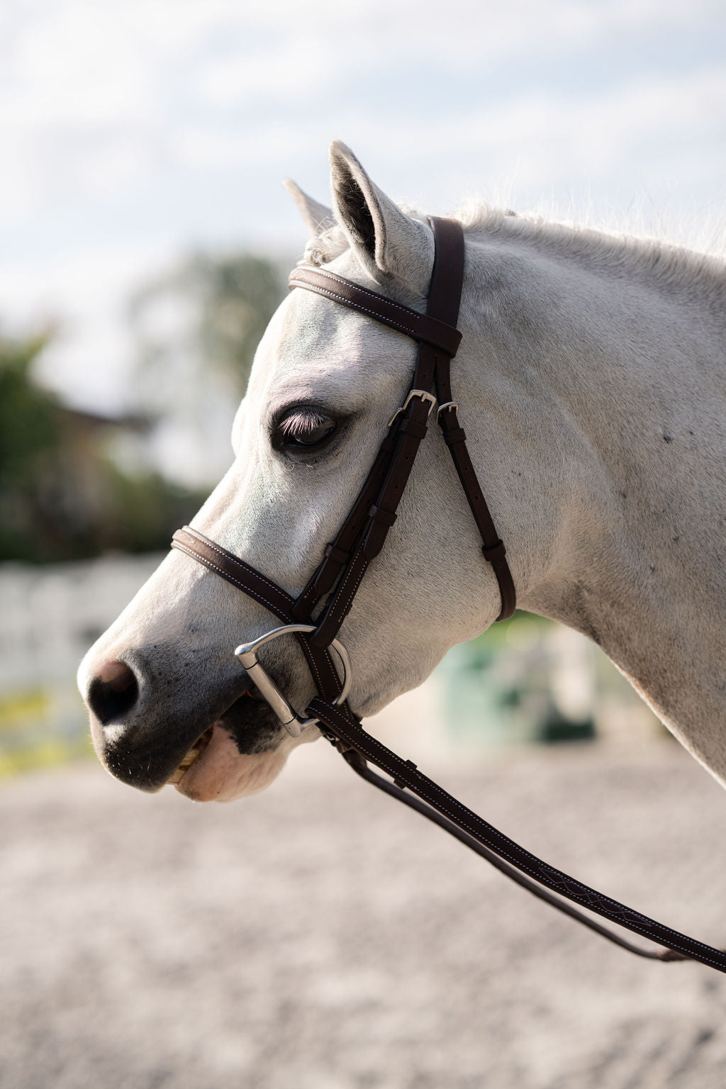 Farnley Bridle