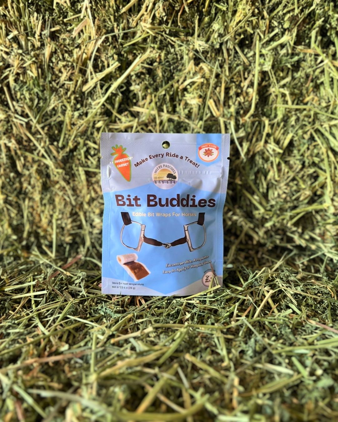 Bit Buddies