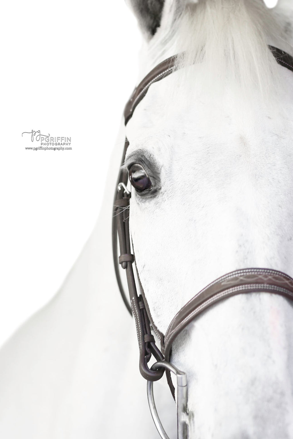 Sugarbrook Bridle Wide Noseband