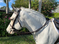 Draw Reins