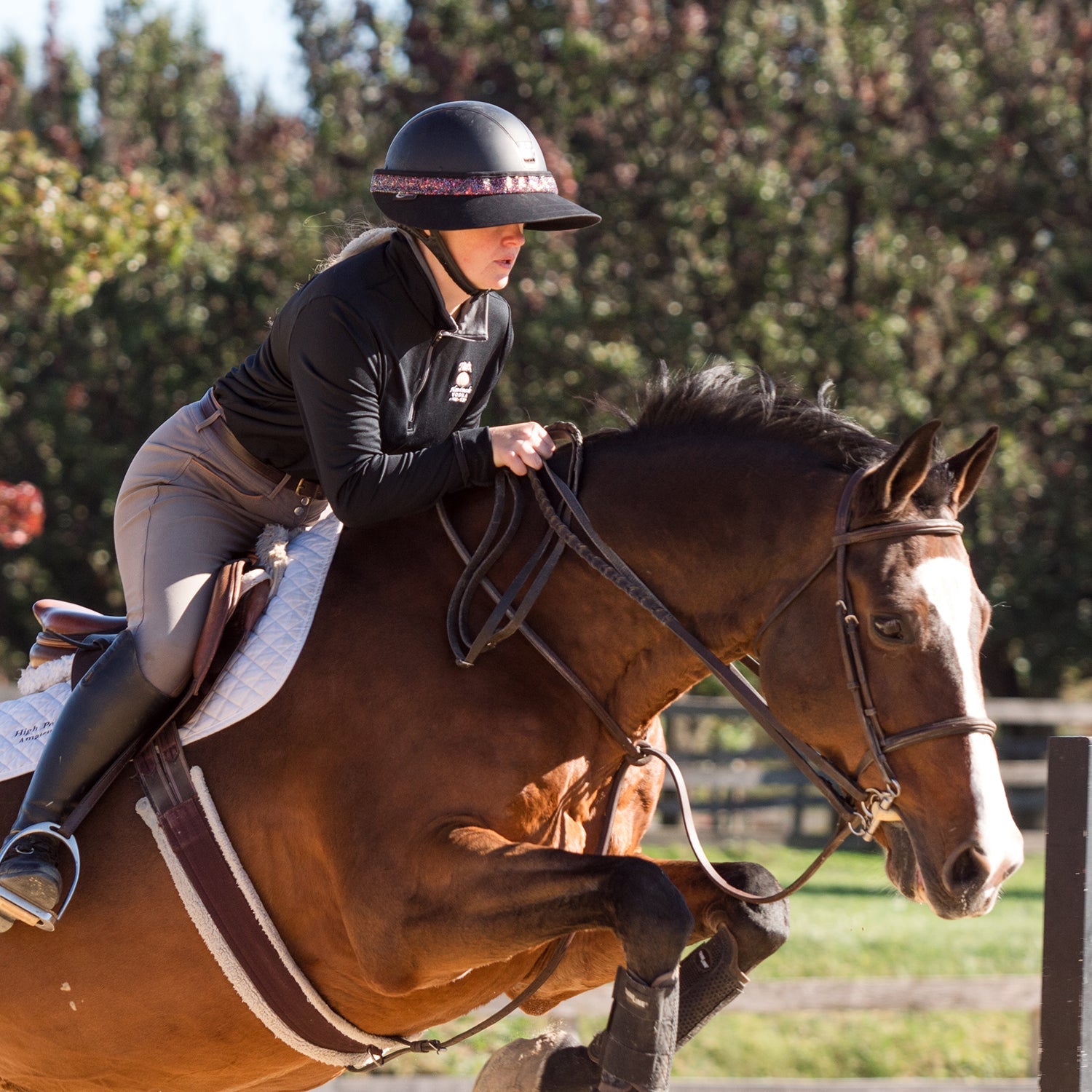 EquiVisor® Original Shorty 3" Glitz