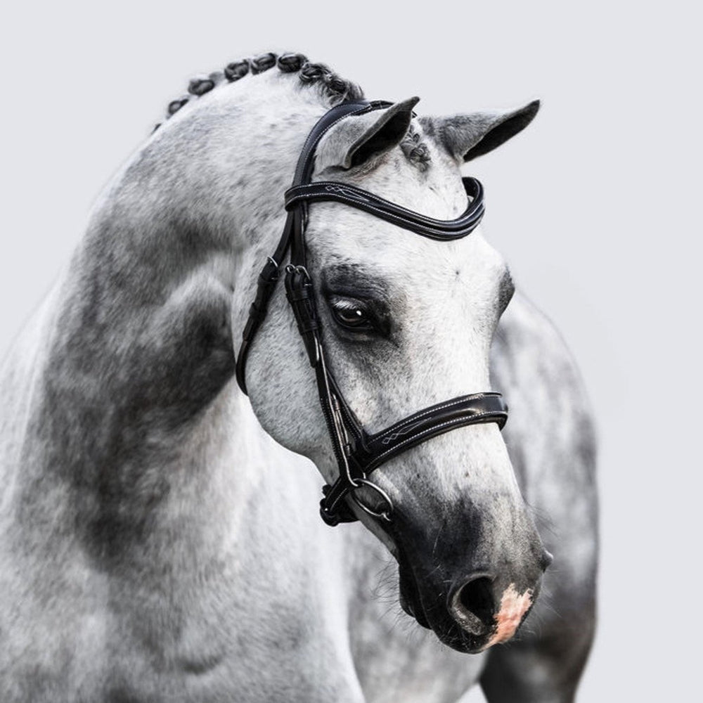Milan convertible Bridle by Lumi Pony