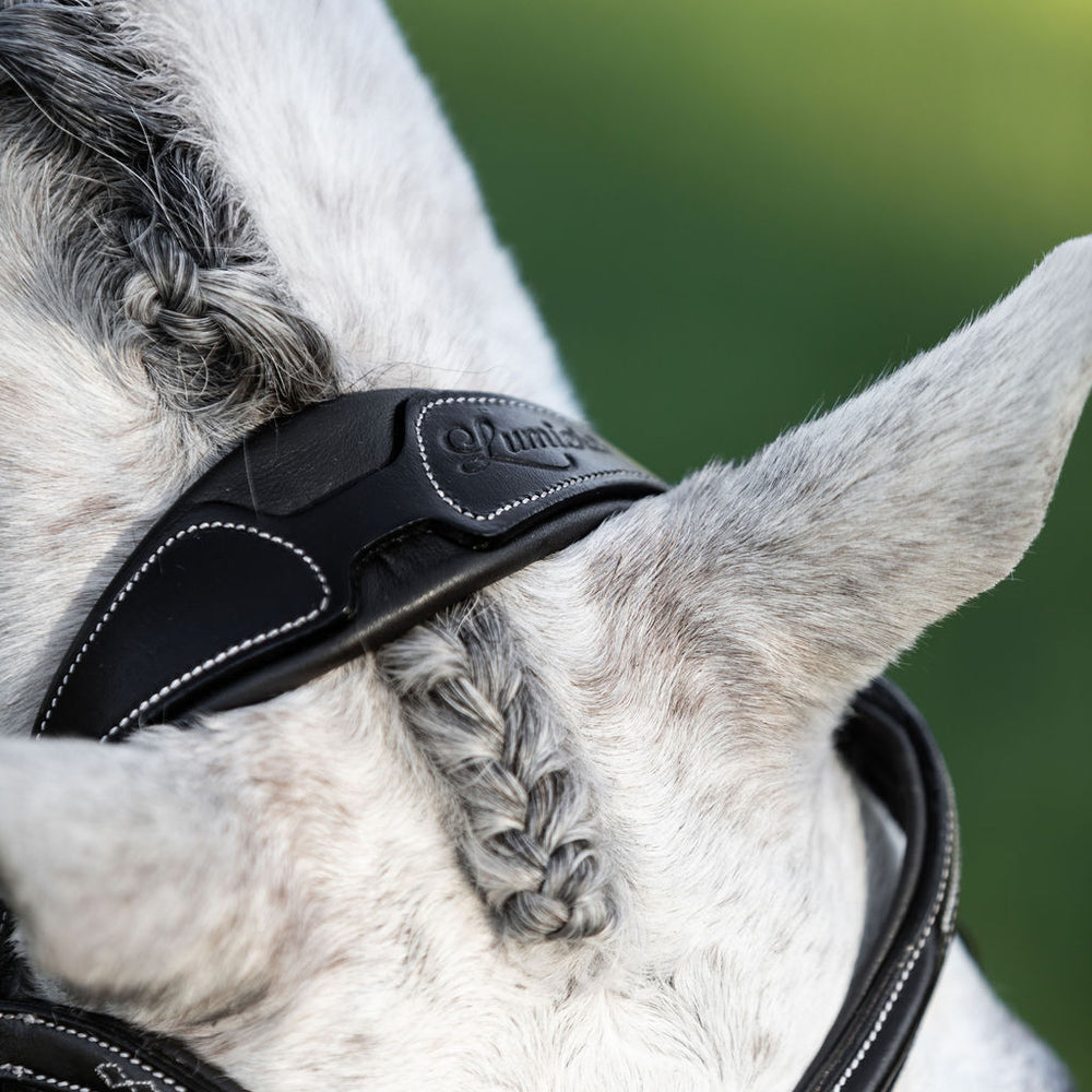 Milan convertible Bridle by Lumi Pony