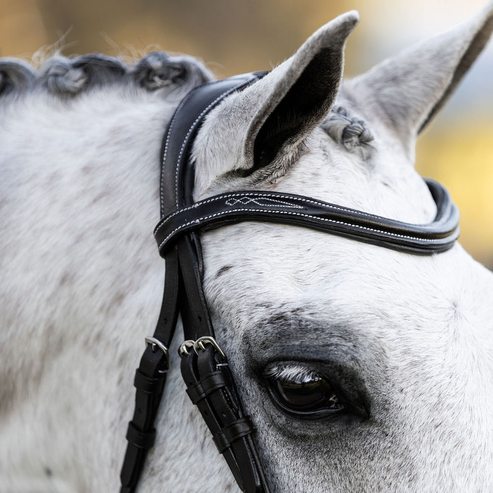 Milan convertible Bridle by Lumi Pony