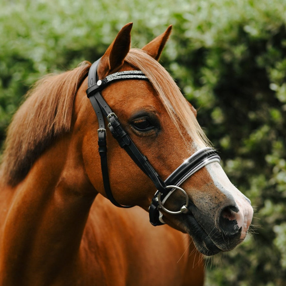 Princess Bridle by Lumi Pony