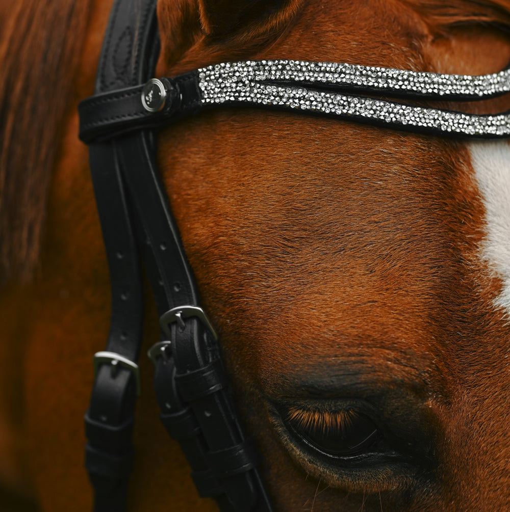 Princess Bridle by Lumi Pony