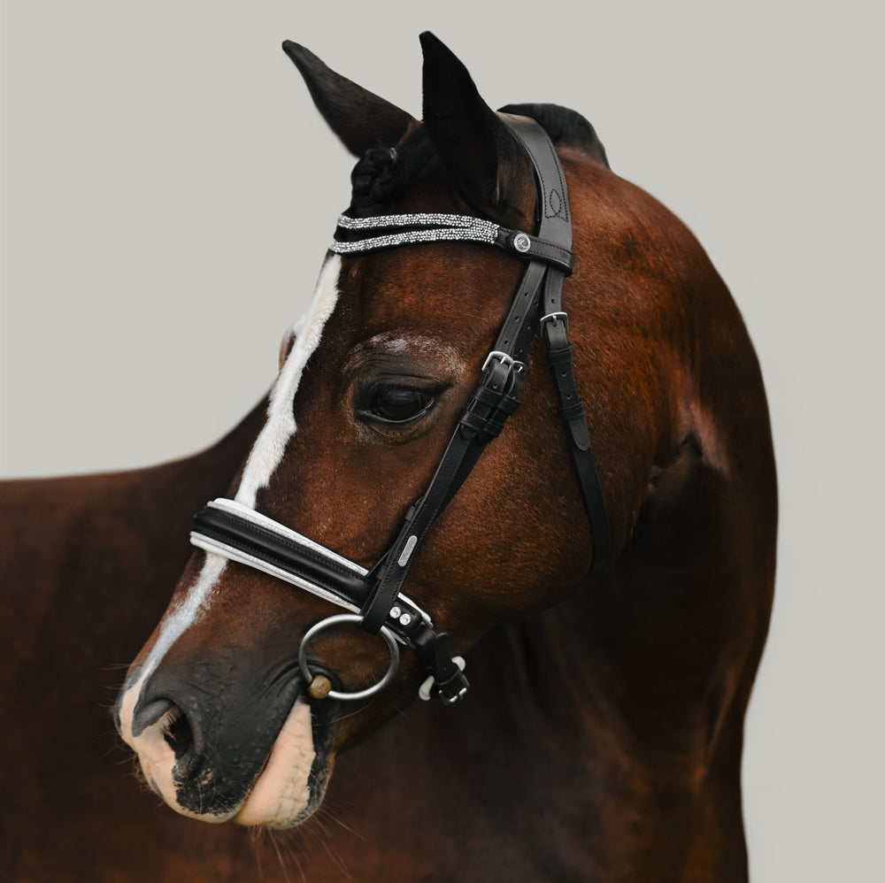 Princess Bridle by Lumi Pony