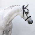 Iddy Biddy Bitless bridle by Lumi Pony