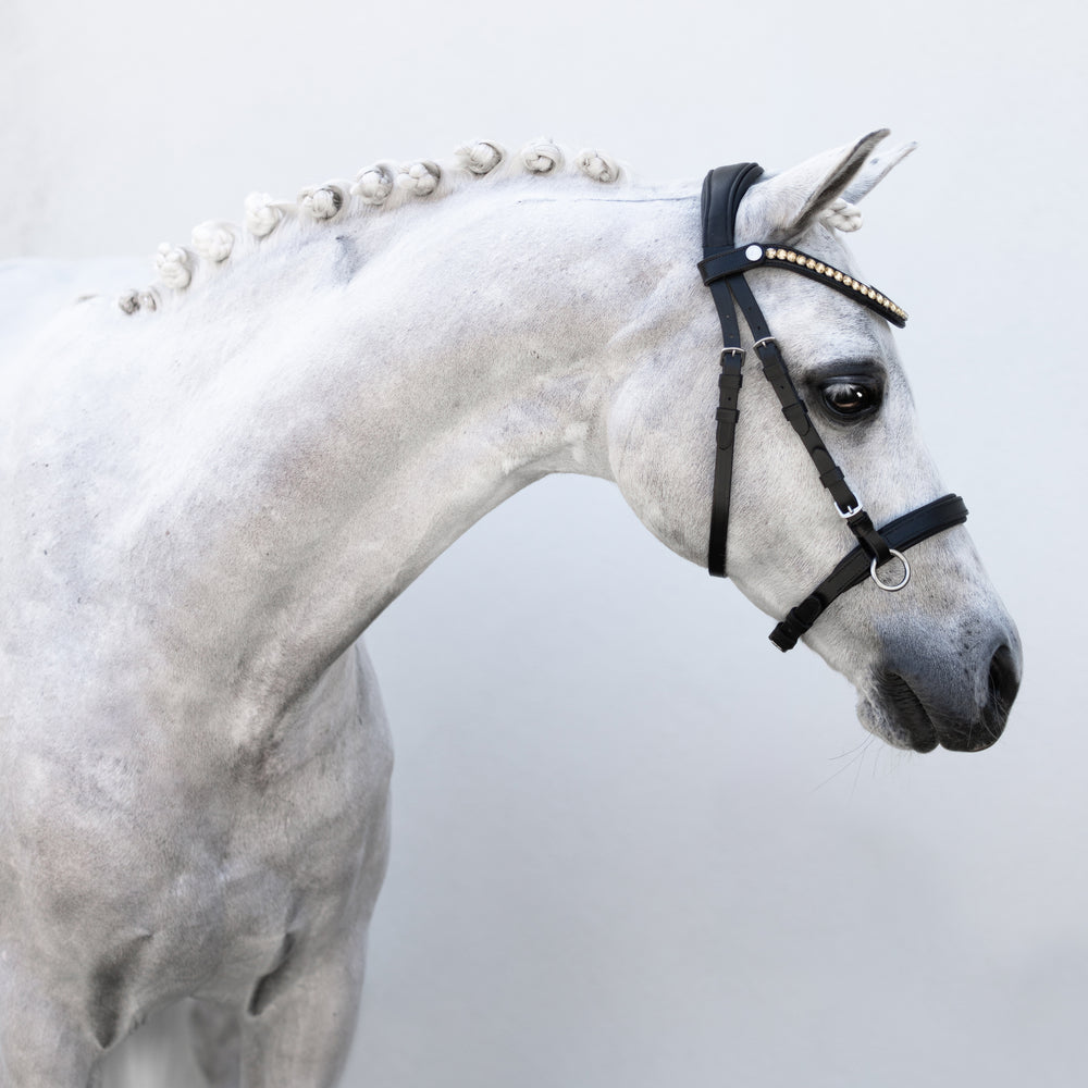 Iddy Biddy Bitless bridle by Lumi Pony