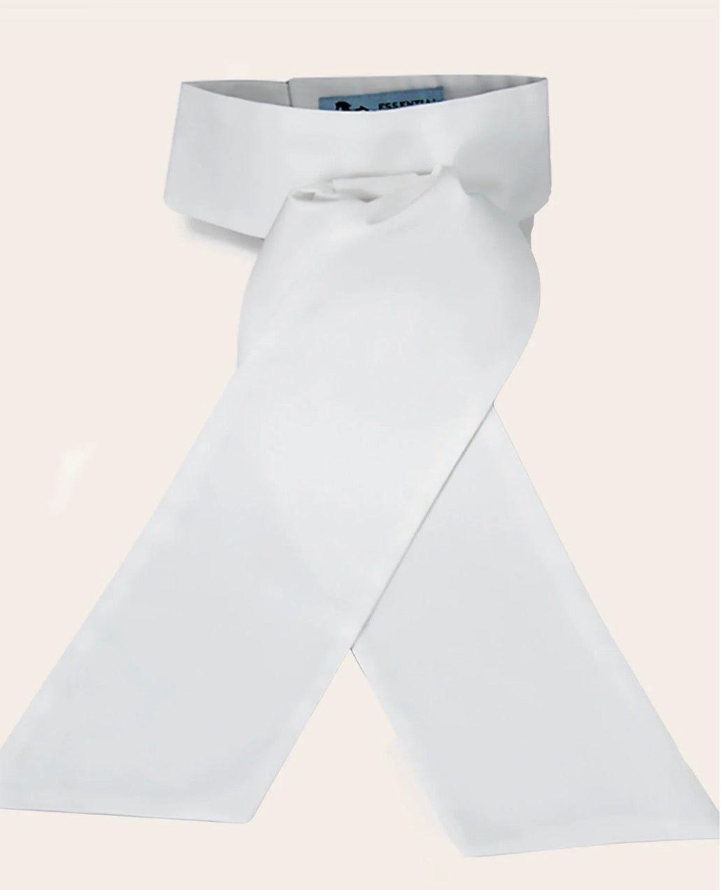 RJ Classics Camden pre tied stock tie