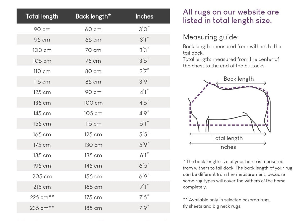 Balloon Pony Turn out rug