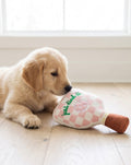 Dog Toy Pink Pickle ball paddle