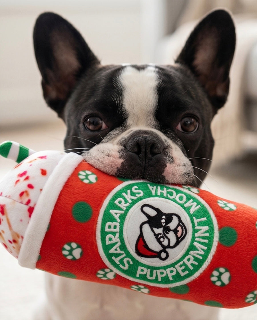 Dog Toy Starbarks puppermint Mocha