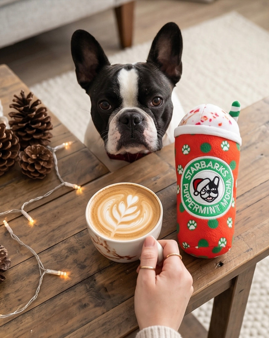 Dog Toy Starbarks puppermint Mocha