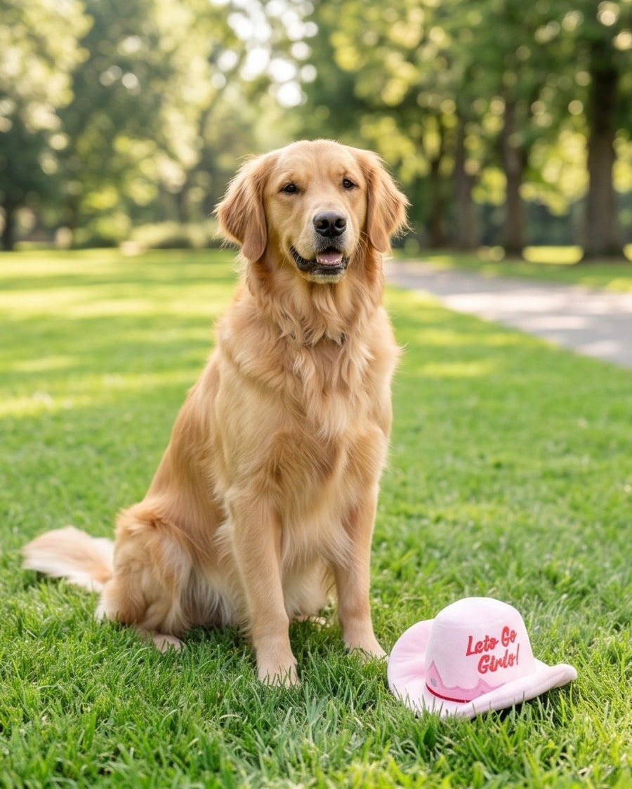 Dog Toy pink cowgirl hat