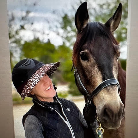 EquiVisor® Original Sun Protection