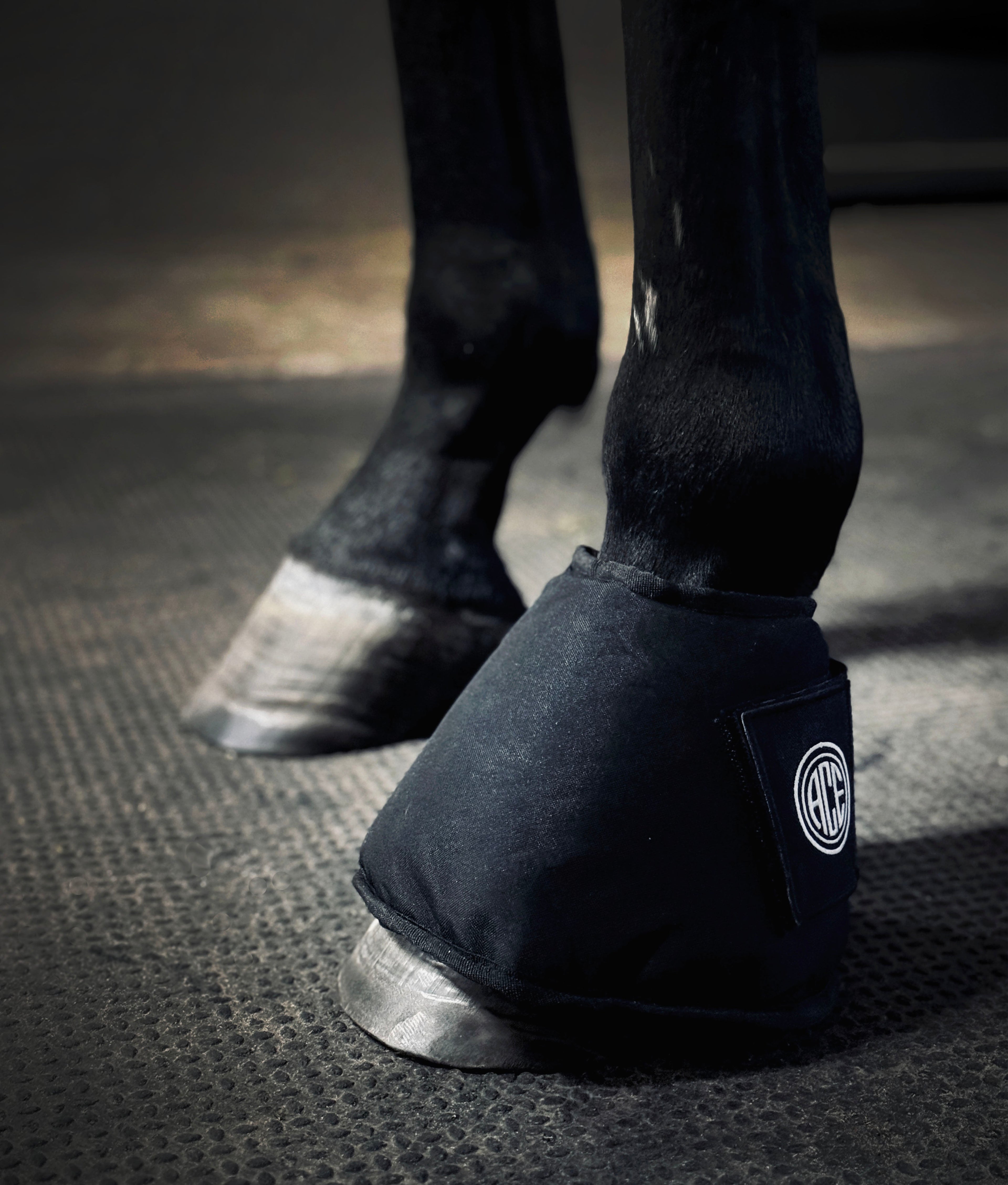 PRO4MANCE | KOLD FEET ICE BOOTS