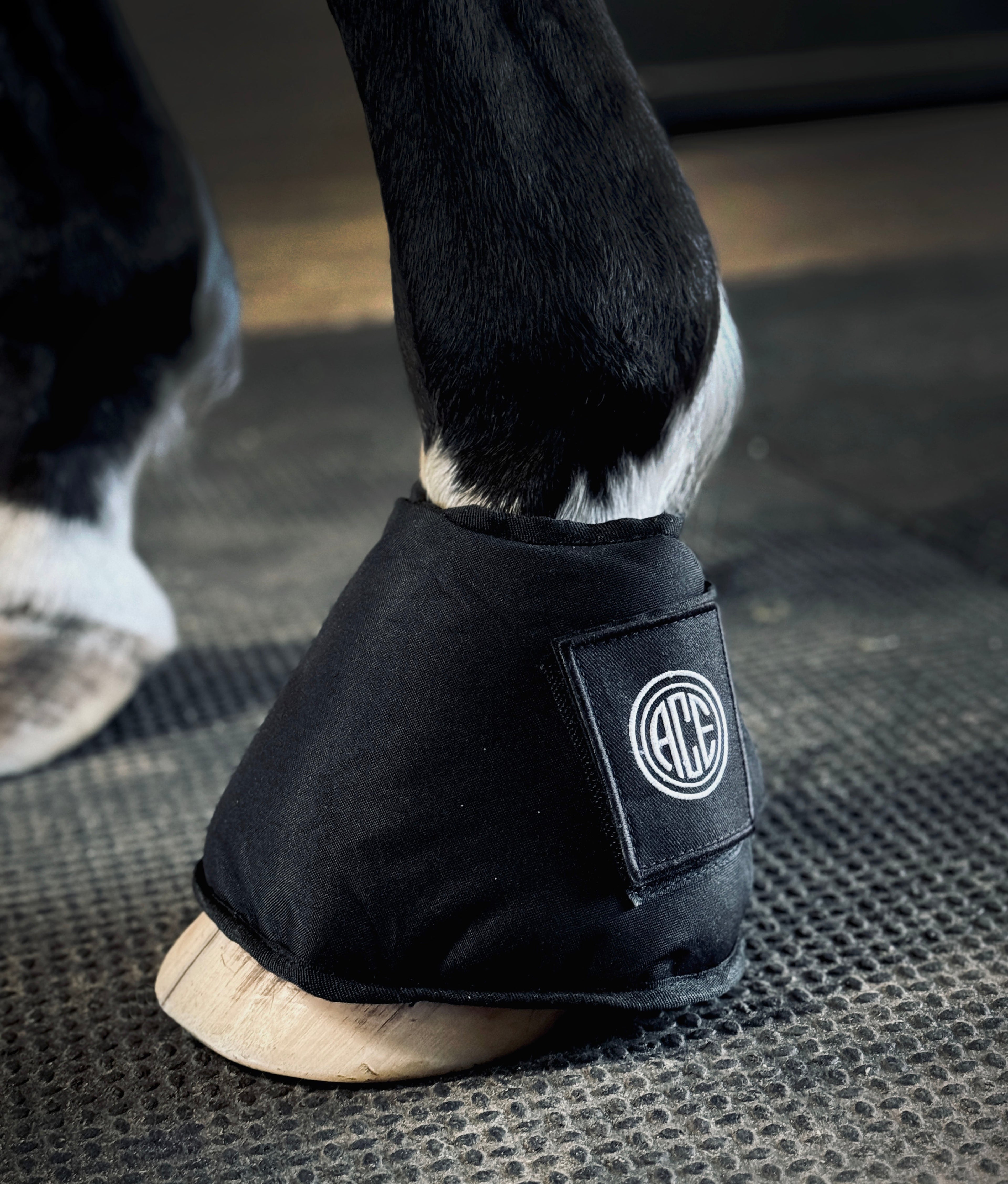 PRO4MANCE | KOLD FEET ICE BOOTS
