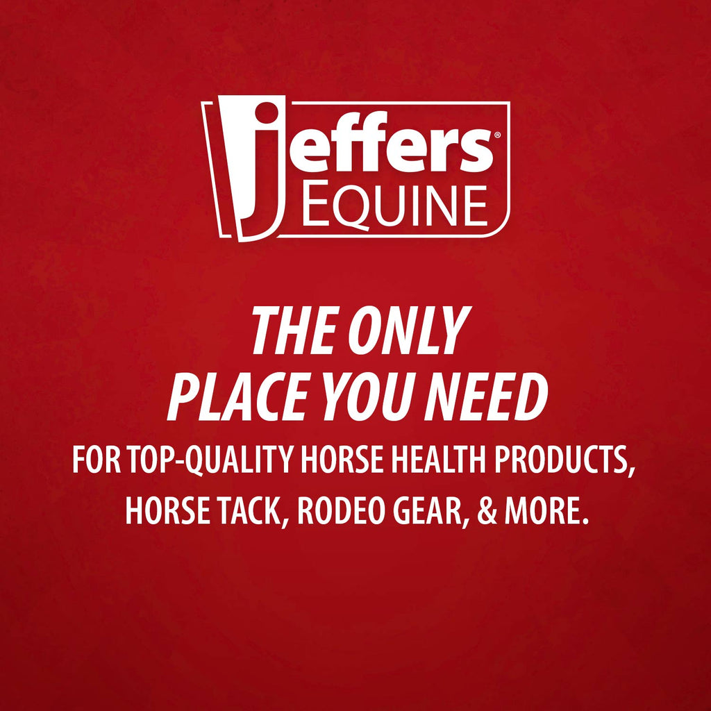 Jeffers Double-Sided Sisal/Microfiber Face Grooming Mitt for Horses