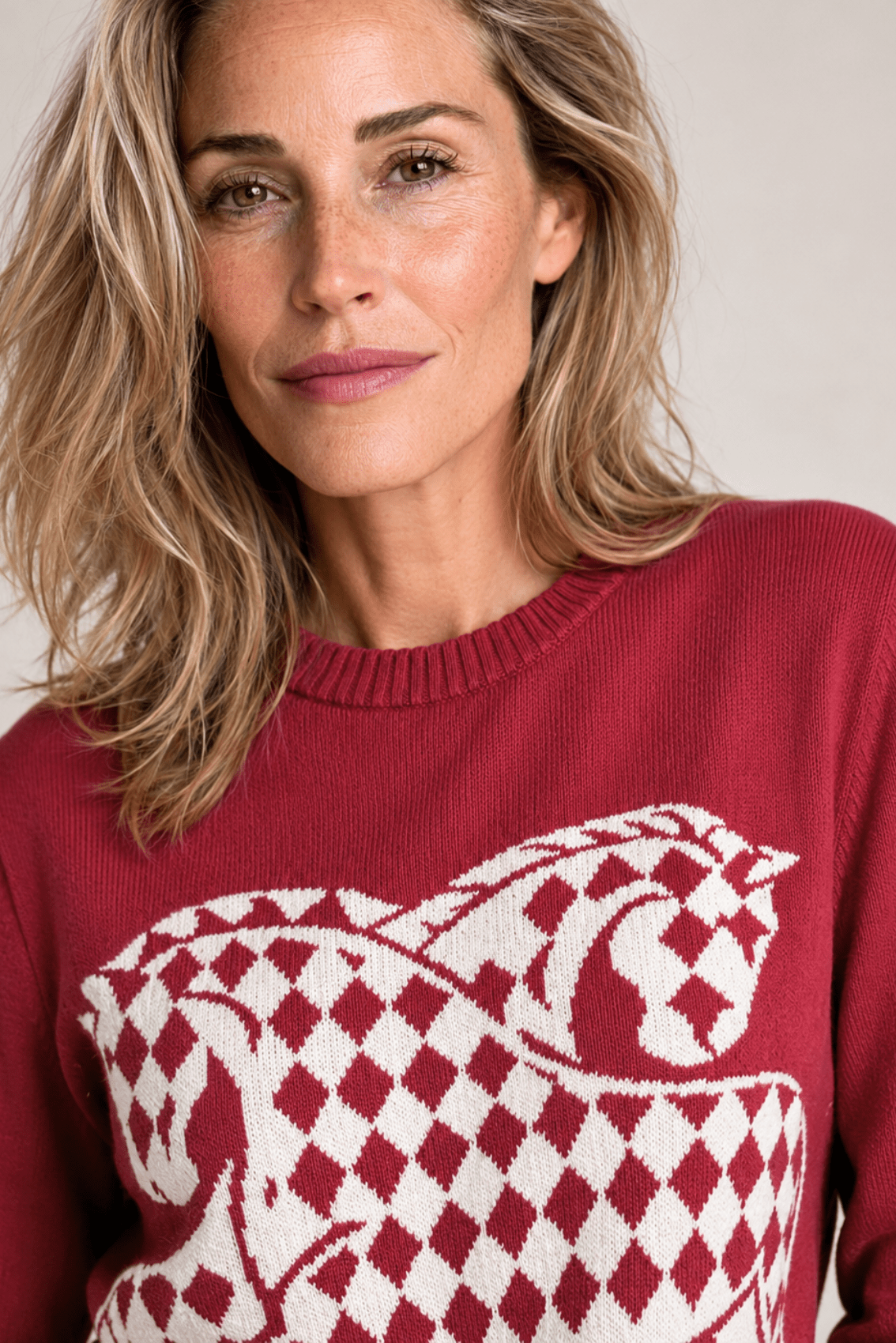 The Harlequin Horses Sweater