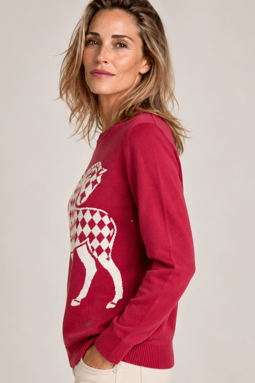 The Harlequin Horses Sweater