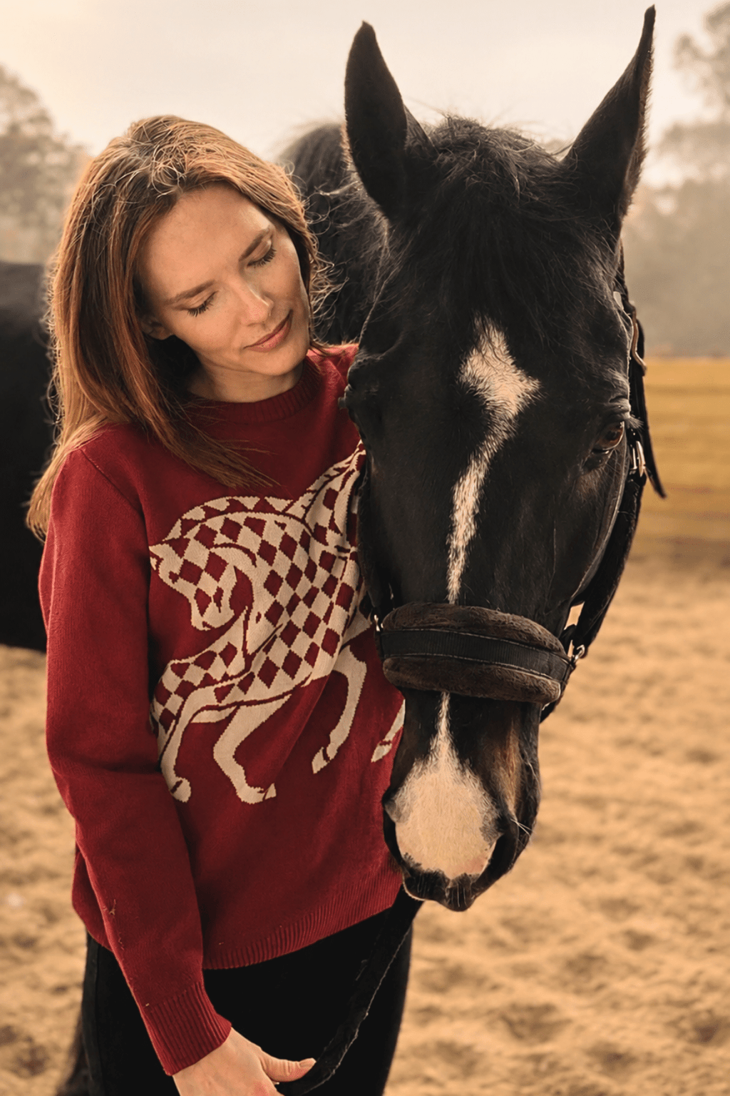 The Harlequin Horses Sweater