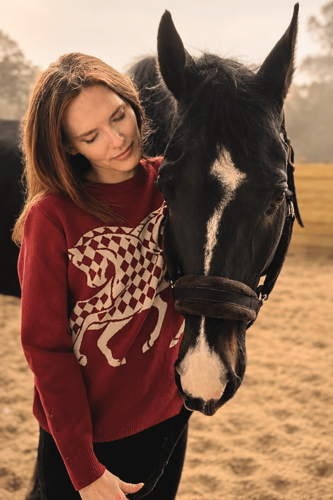 The Harlequin Horses Sweater