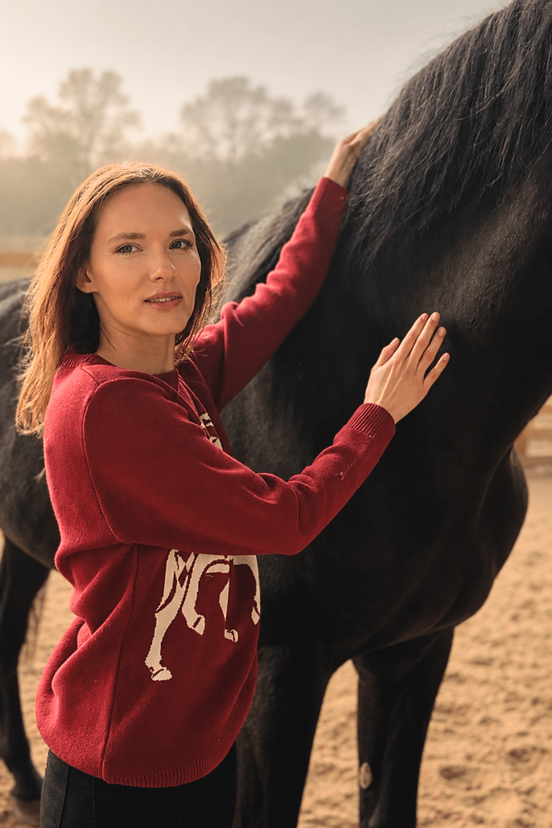 The Harlequin Horses Sweater