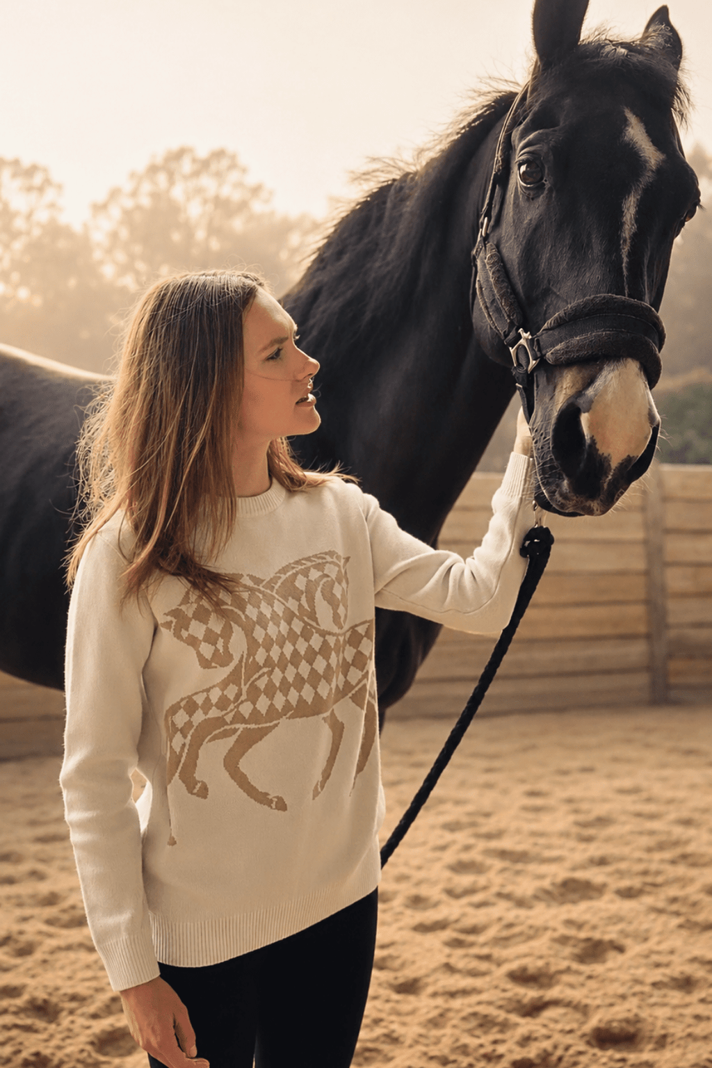 The Harlequin Horses Sweater