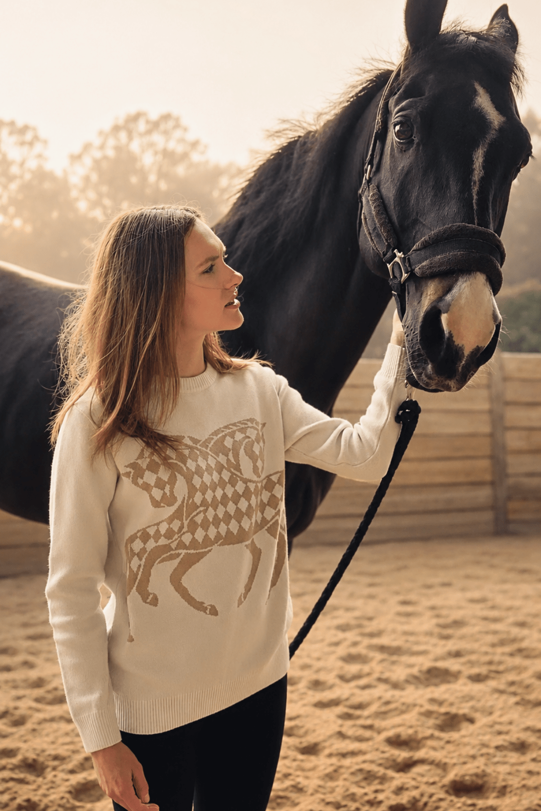 The Harlequin Horses Sweater